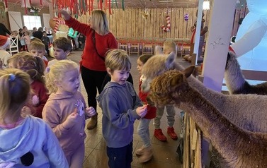 IMG_8282 2