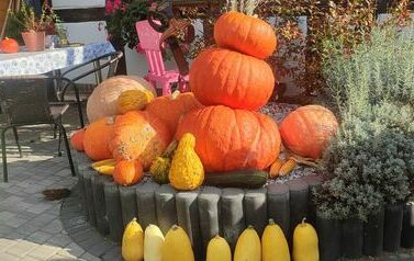 IMG_20230927_102726