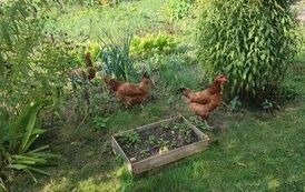IMG_20230927_103507