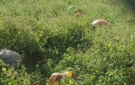 IMG_20230927_103112