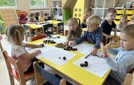 IMG_4953