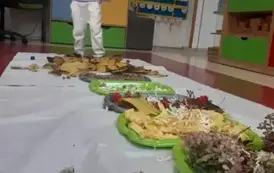 c7056ffc-f0a9-4350-b9da-802dcd1248f4