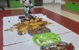 99517fcc-54e4-4f80-b277-e25fff35f5db