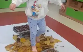 20274fe8-8d23-4592-aebe-ee462432eef7