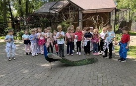 IMG_8068