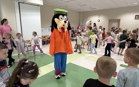 IMG_8239
