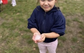 IMG_0247.JPEG